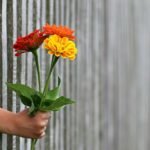 Floristería cerca de mi