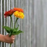 Floristería cerca de mi